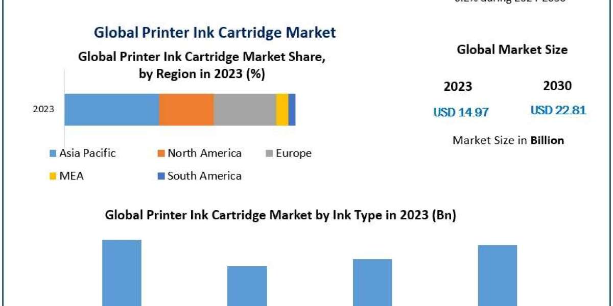 ﻿Printer Ink Cartridge Market Size, Growth Opportunities, and Outlook (2024–2030)