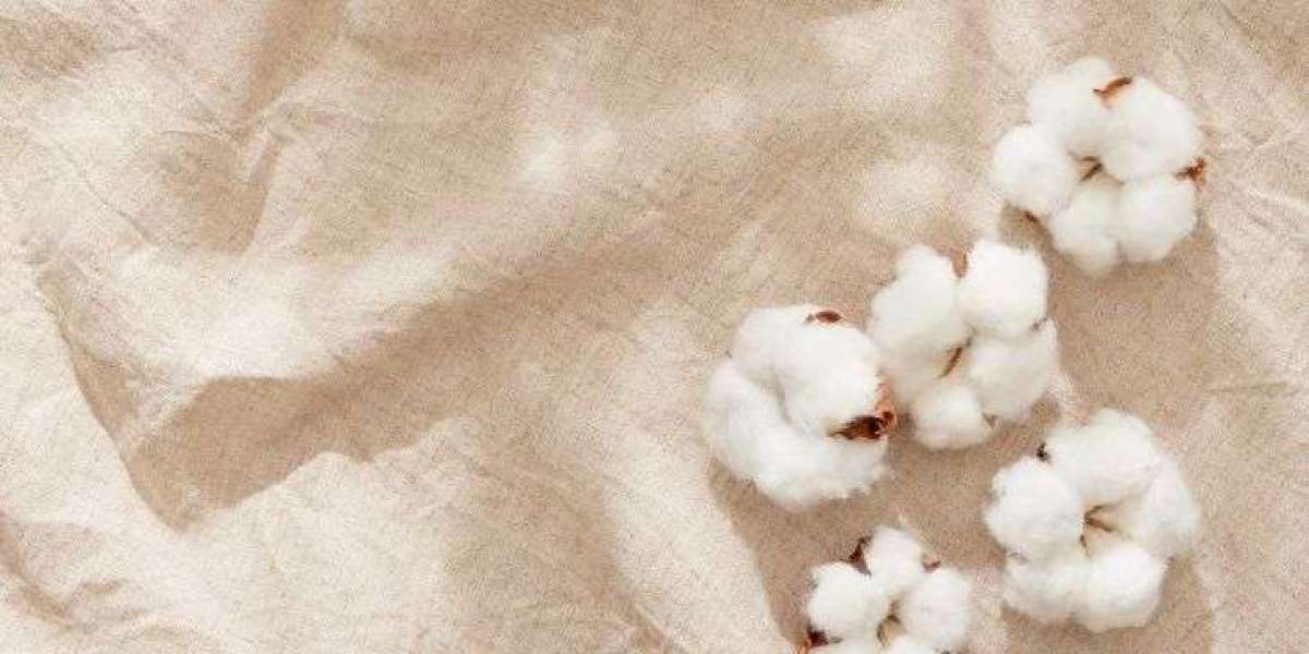 Global Linen Fabric Market: Trends, Opportunities, and Future Outlook