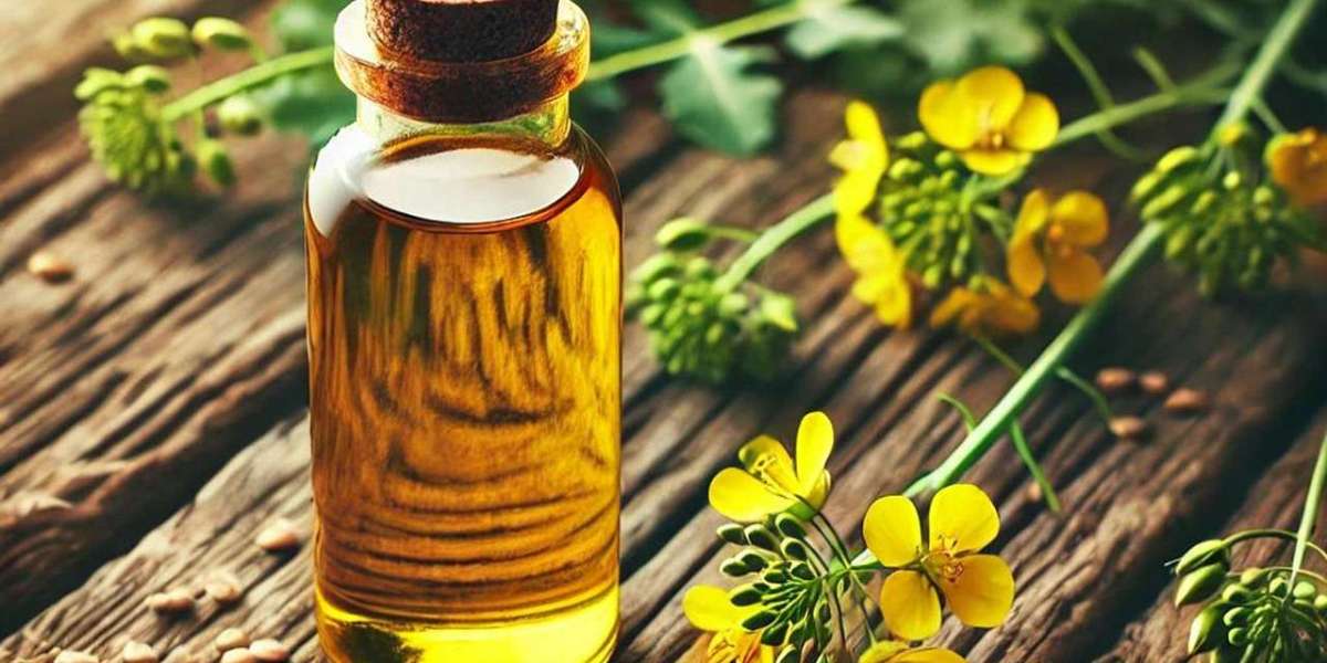 Rapeseed Oil Market Accelerators Driving Growth, Innovation, and Expanding Global Consumer Demand