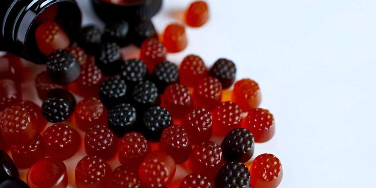 Sea Moss & Black Seed Oil Gummies: Benefits, Taste & Top Picks for 2025