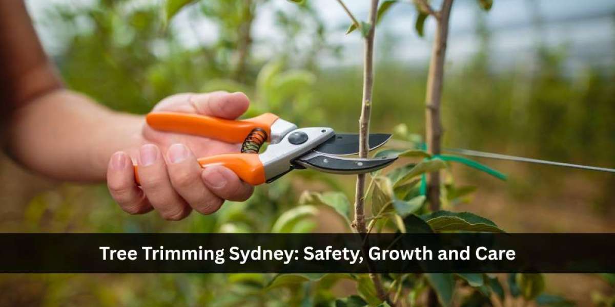Tree Trimming Sydney: Safety, Growth and Care