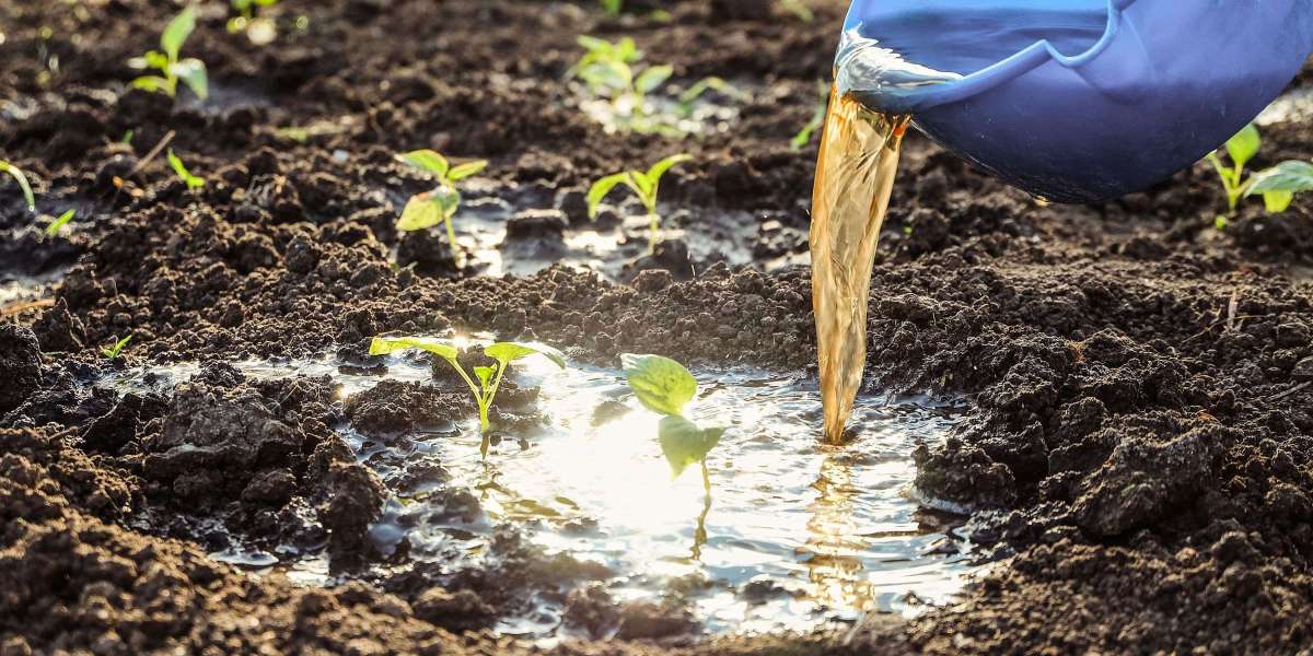 Liquid Fertilizers Market Hindrances Limiting Expansion, Innovation, and Adoption in Global Agriculture Practices