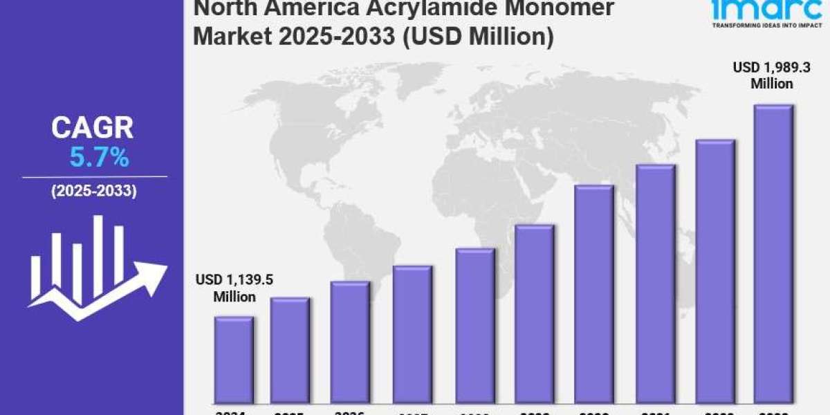 North America Acrylamide Monomer Market Size, Share, Industry Overview, Growth and Forecast 2025-2033