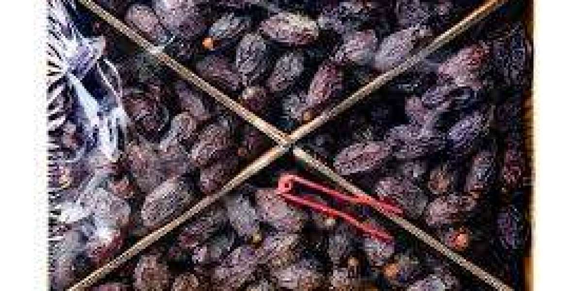 Medjoul Dates: The King of Dates and a Natural Superfood