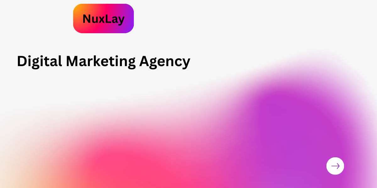 Why Is NuxLay Digital Marketing Agency the Future of Digital Marketing?