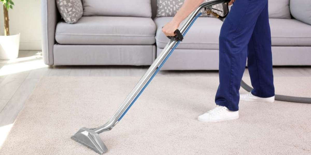 Responsive Carpet Cleaning Services That Show Up On Time