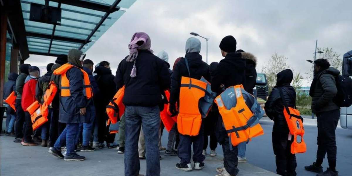 From Criminal Convictions to Visa Overstays: A Guide to Deportation Types
