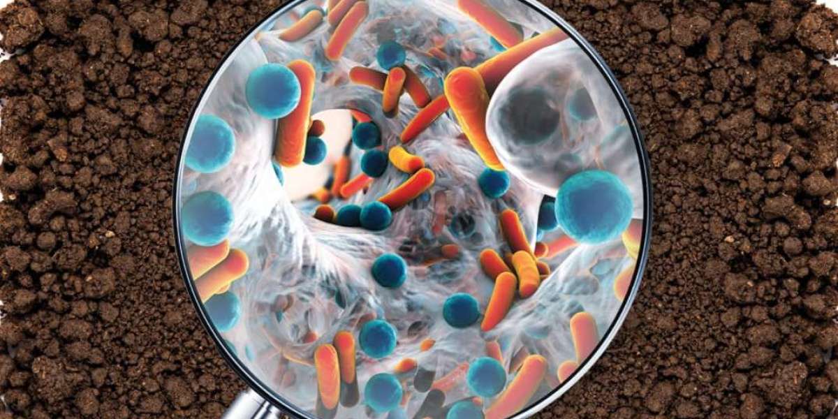 Biostimulants Market Accelerators Driving Global Growth, Technological Innovations, Sustainability, and Agricultural Tra