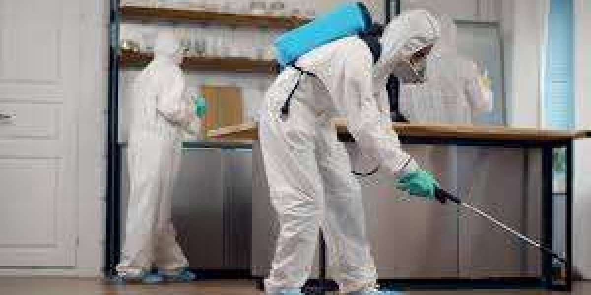 Seasonal Solutions: Protecting Your Pike County Home From Pests