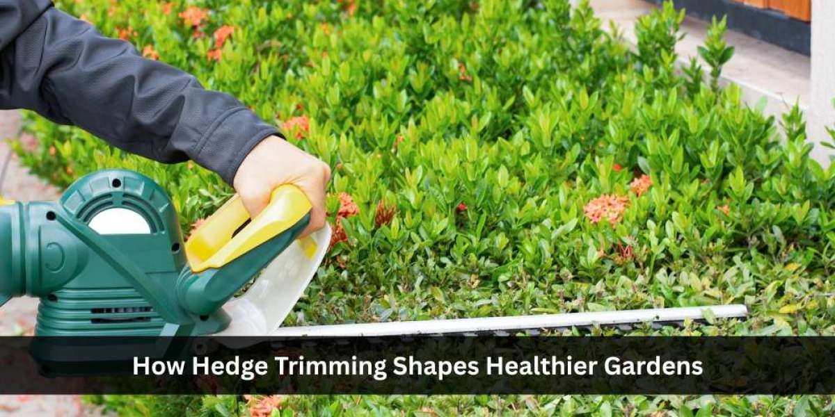 How Hedge Trimming Shapes Healthier Gardens