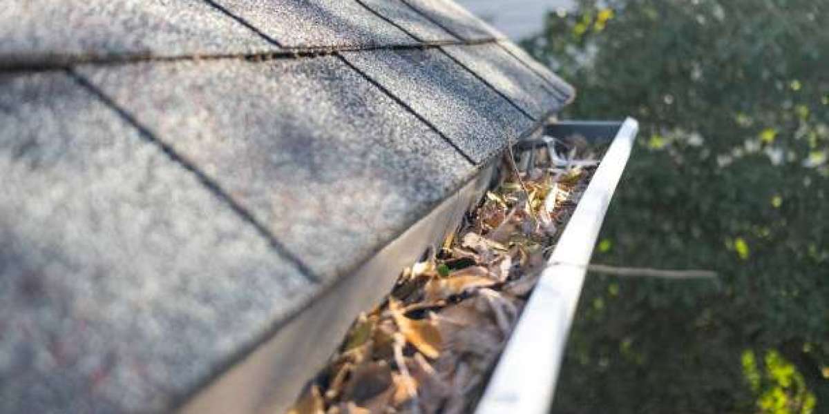 Protect Your Home with Expert Gutter and Roof Cleaning Services in Florida