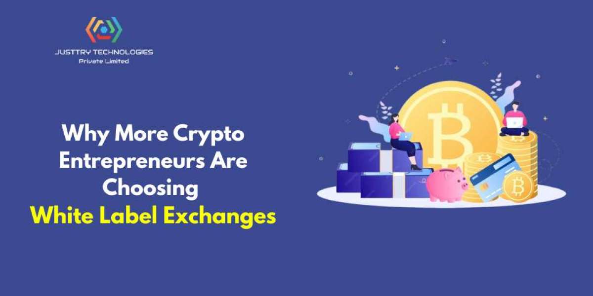 Why More Crypto Entrepreneurs Are Choosing White Label Exchanges