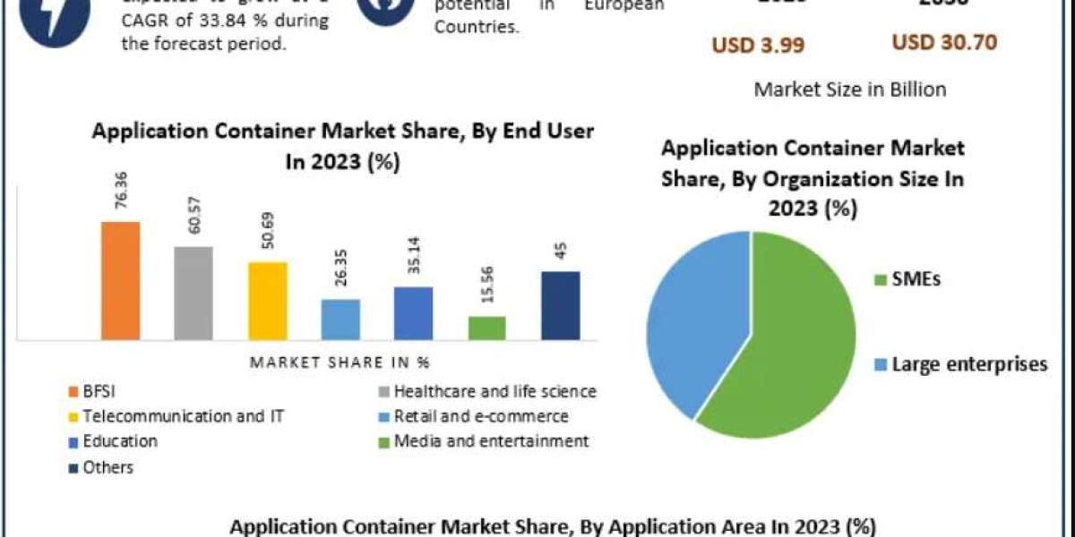 Application Container Market Overview: Key Players, Segments, and Regional Insights 2030