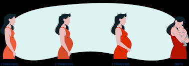 What is the Triple Marker Test and Its Purpose? - JustPaste.it