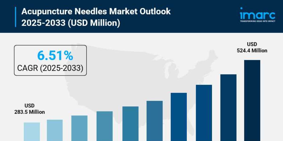 Acupuncture Needles Market Size, Share, Industry Overview, Growth and Forecast 2025-2033