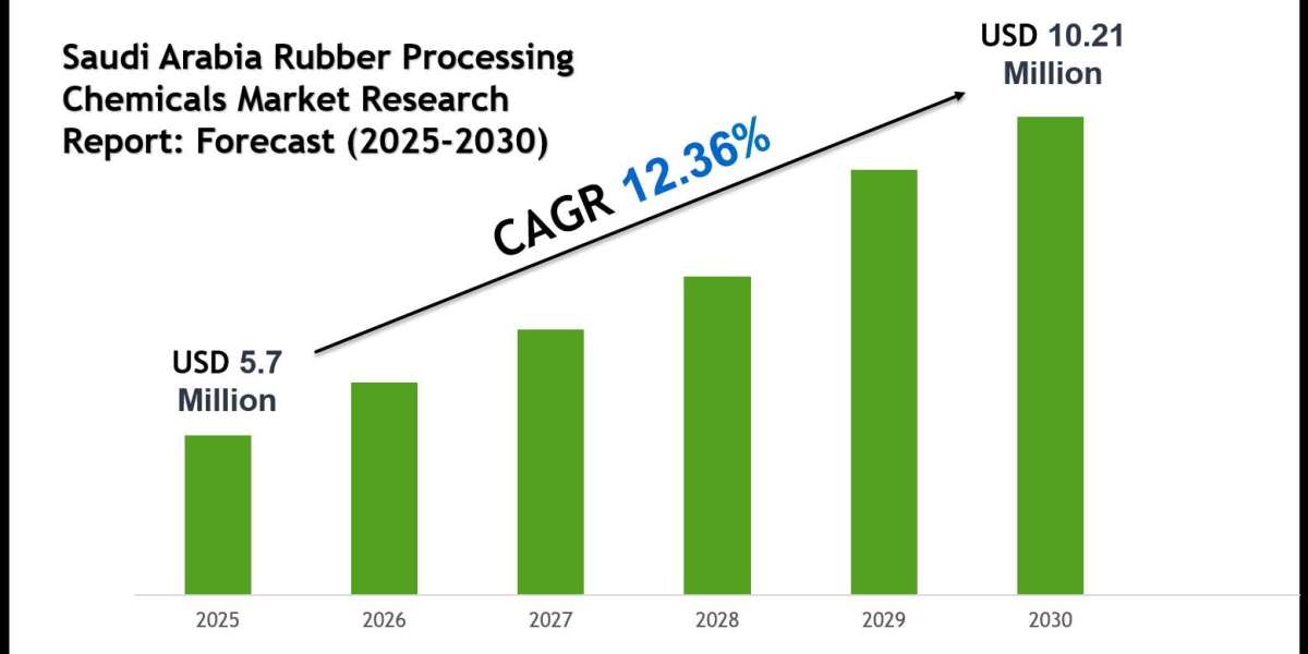 Qatar Rubber Processing Chemicals Market Outlook 2030: Leading Companies & Share Insights