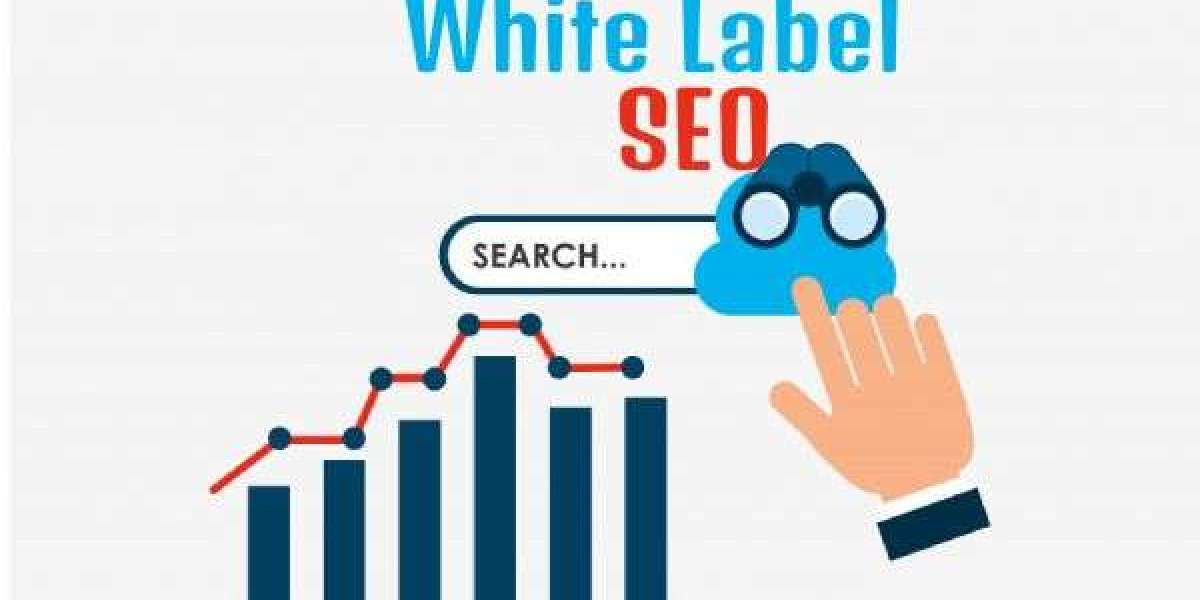 Build Your Digital Success with a Reliable White Label SEO Agency - Pitch Pine Media