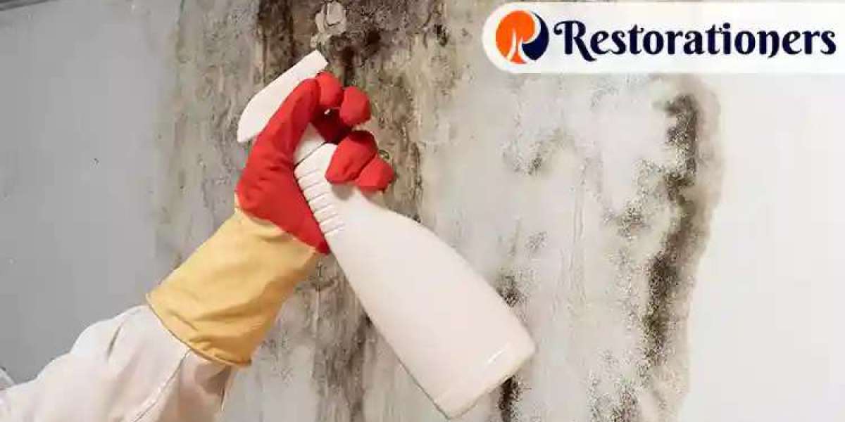 Expert Mold Remediation Services | Safe, Fast & Certified Mold Removal