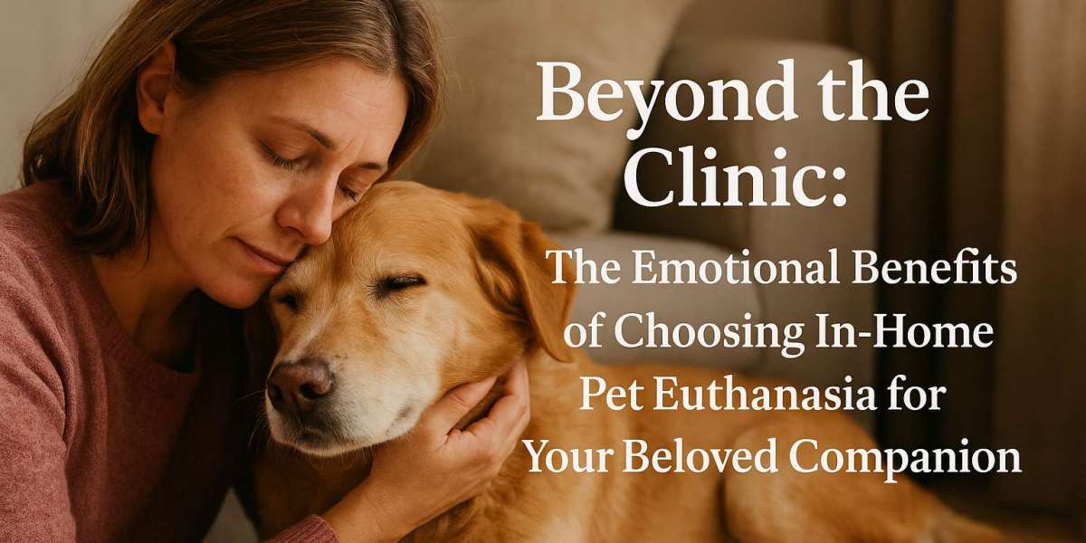 Beyond the Clinic: The Emotional Benefits of Choosing In-Home Pet Euthanasia for Your Beloved Companion
