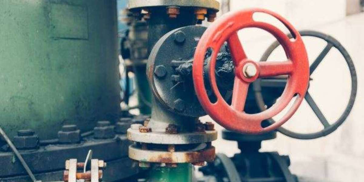 Operational Excellence: The Valve Standards That Deliver Peak Performance