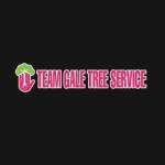 Team Gale Tree Service