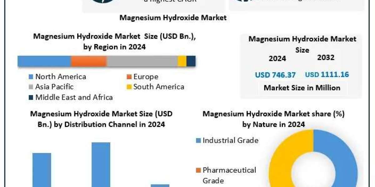 Magnesium Hydroxide Market Industry Development, Regional Insights, Revenue Forecast 2025–2032