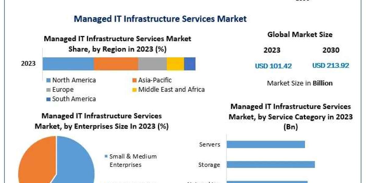Managed IT Infrastructure Services Market Size, Growth Opportunities, and Outlook (2024–2030)