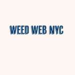 Weed Web NYC