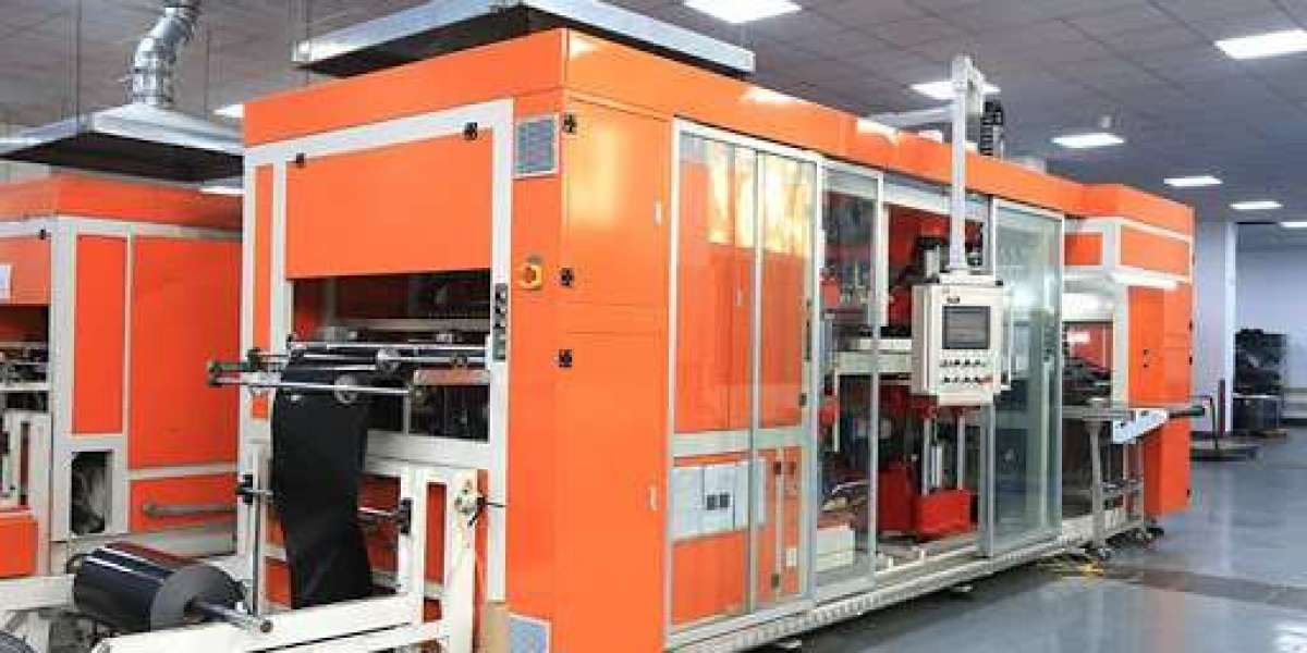 PVC Blister Packaging Manufacturing Plant Report 2025: Comprehensive Business Plan and Machinery Requirements