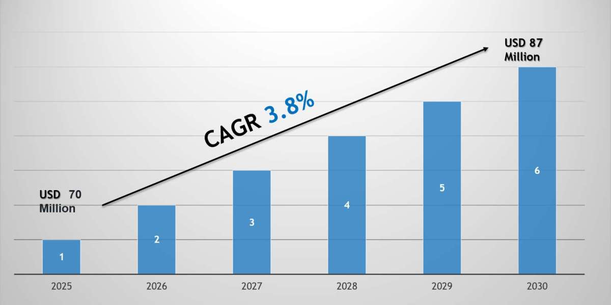 Nigeria Off the Road (OTR) Tire Market 2030: Key Companies, Player Strategies & Forecast