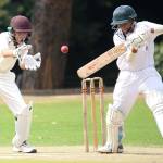 cricket games