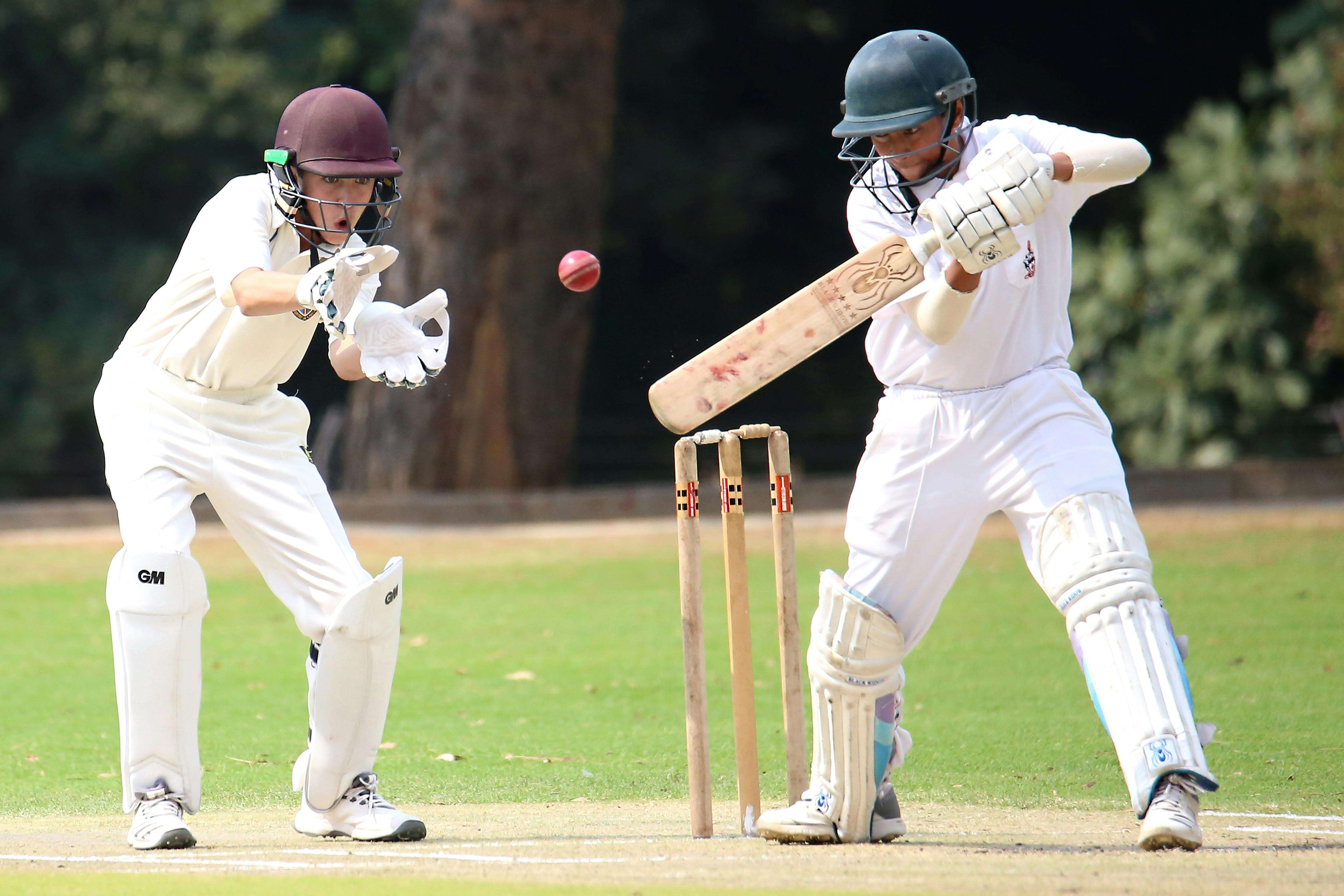 cricket games