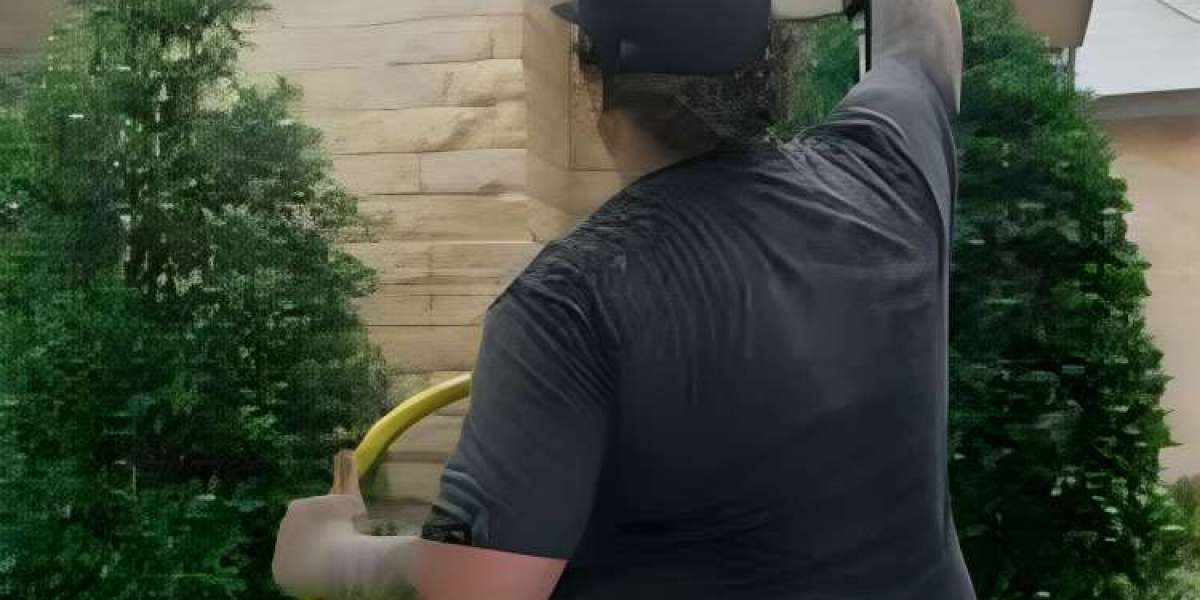 Expert Roof Cleaning Near Me for a Spotless Home