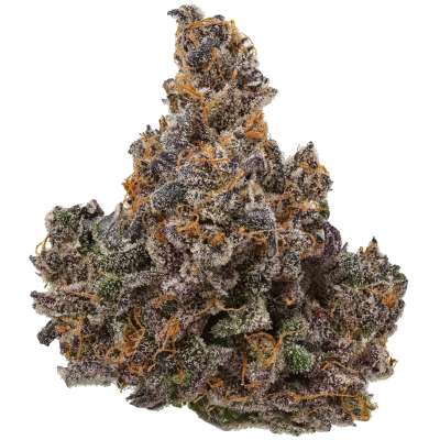 Pink Perfume THCa Flower Profile Picture