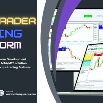 MetaTrader Trading Platform Development Company: Build Your Own MT4/MT5 Solution Profile Picture