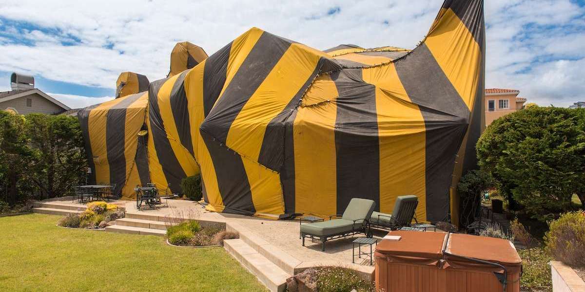 Tiny Pests, Big Problems: The Importance of Regular Termite Inspections