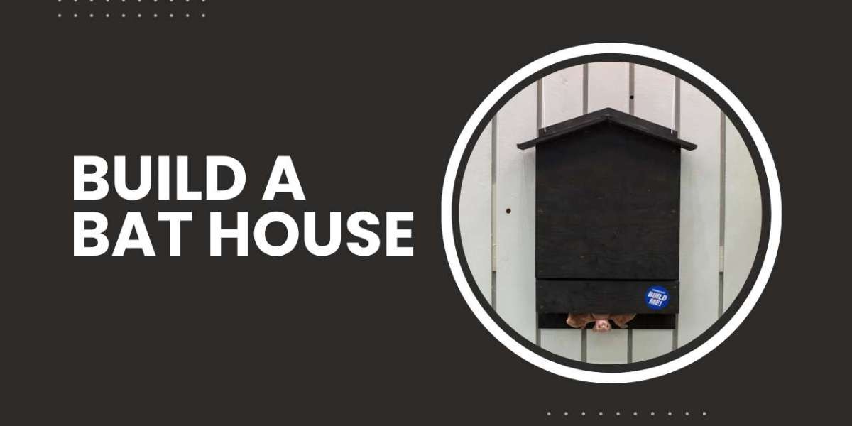 Bat House Woodworking Guide Create a Safe Haven for Bats