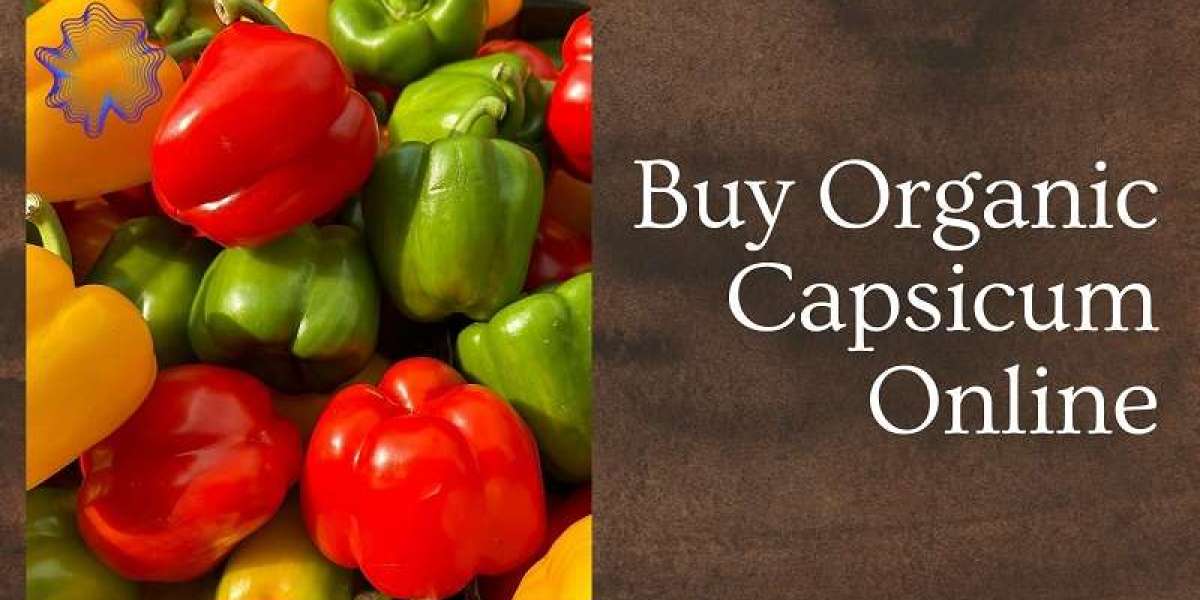 Buy Fresh Organic Capsicum – Perfect for Healthy Recipes