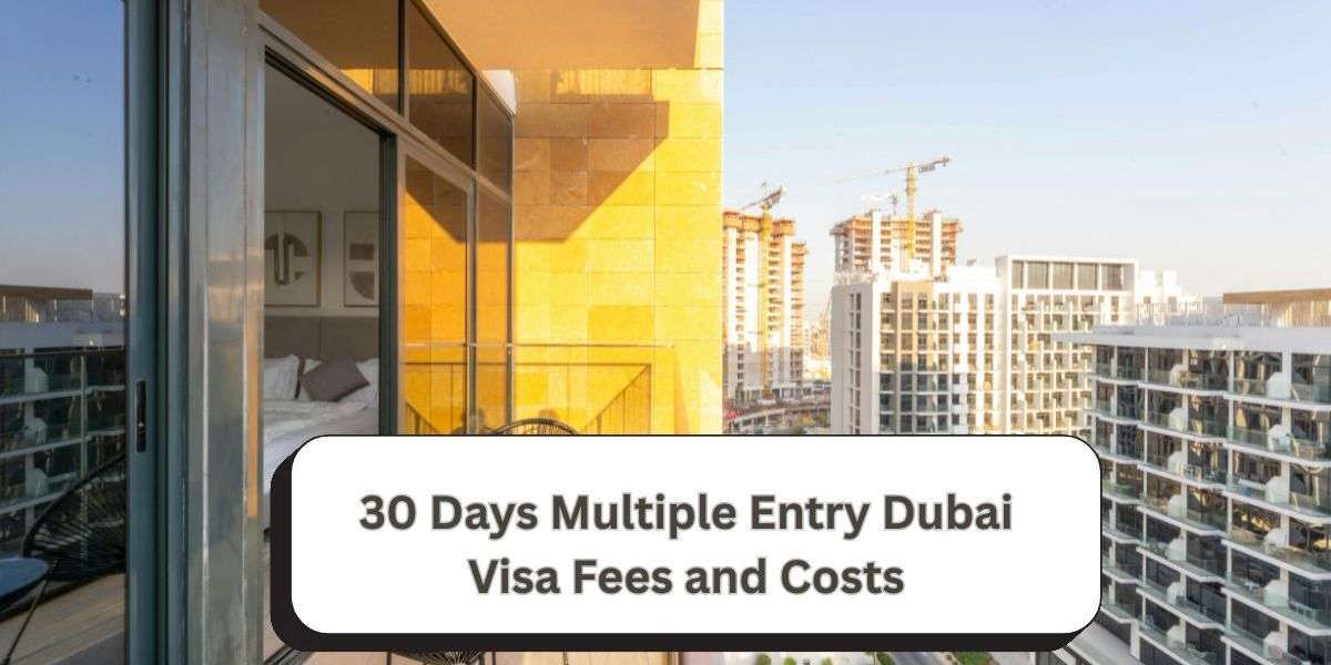30 Days Multiple Entry Dubai Visa Fees and Costs