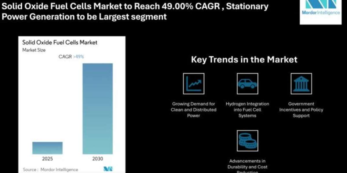Inside the 2030 Forecast: Why Solid Oxide Fuel Cells Are Becoming the Heart of Green Energy Systems