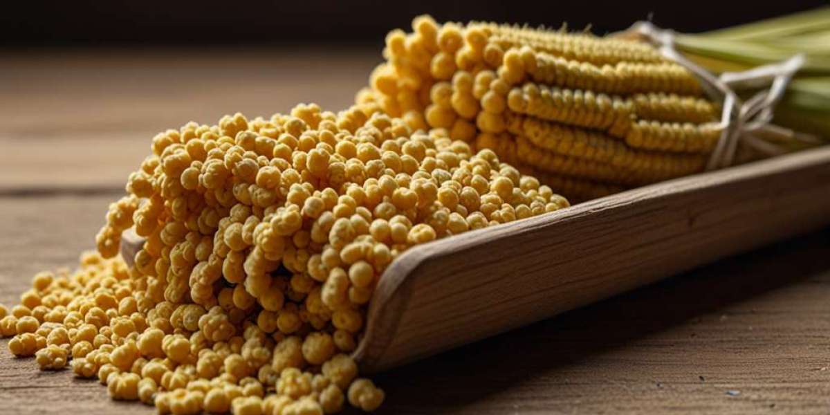 Millet Prices 2025: Latest Price Chart, Index, and Forecast Analysis