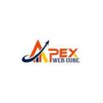 Apex Web Cube