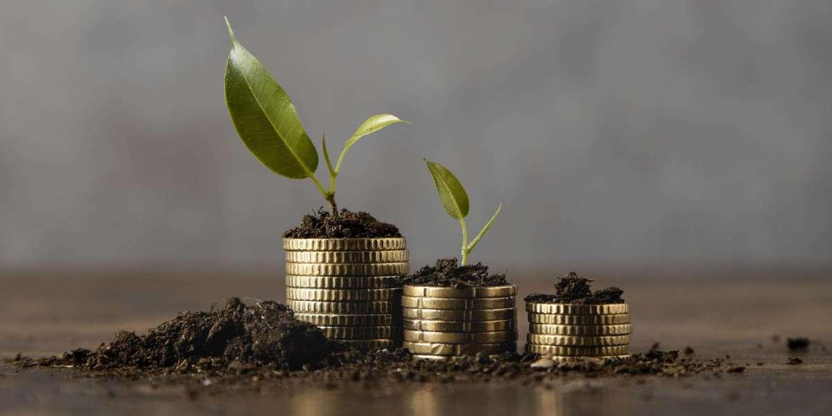 Is Mutual Fund Software in India the Peak of Automation?