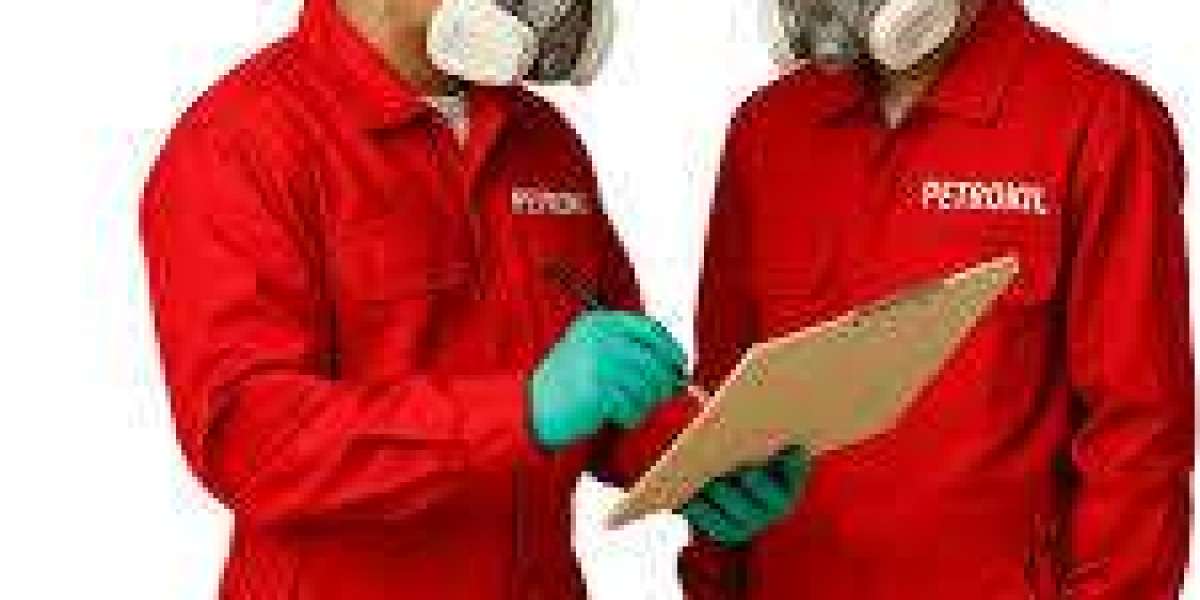 Rayap Bisa Hancurkan Investasi Anda — Lindungi dengan Jasa Anti Rayap Profesional FUMIDA