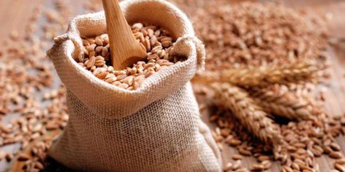 Wheat Export Industry in India: Market Growth & Benefits