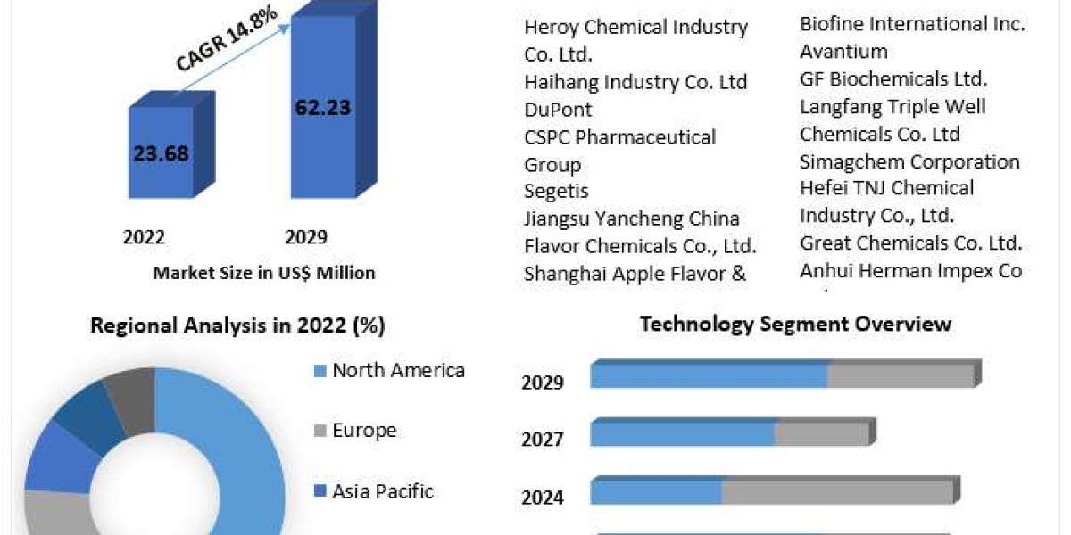 Levulinic Acid Market Opportunities, Drivers, and Long-Term Outlook (2022-2029)