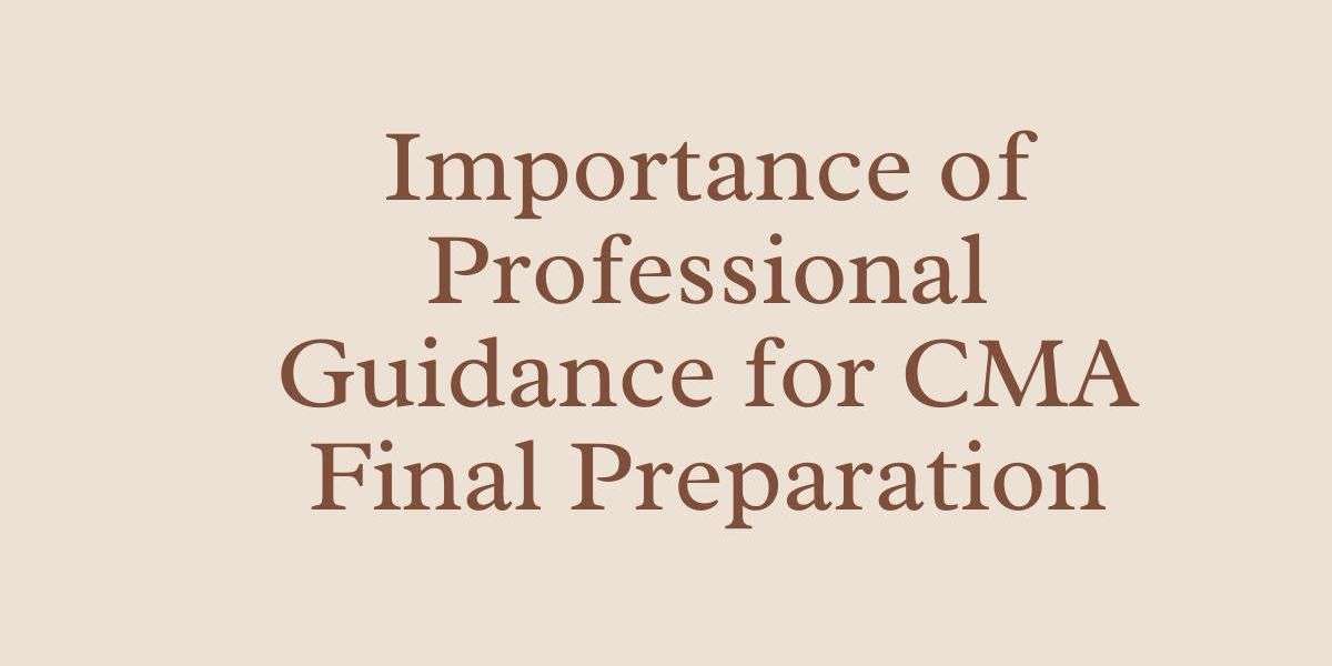 Importance of Professional Guidance for CMA Final Preparation