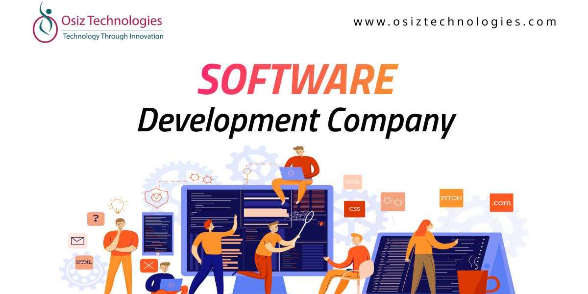 How Are Software Solutions Transforming Businesses Across Germany?