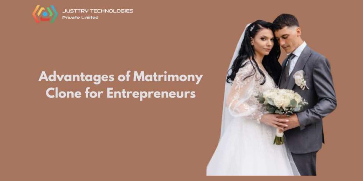 The Strategic Advantage of a Matrimony Clone Script for Entrepreneurs
