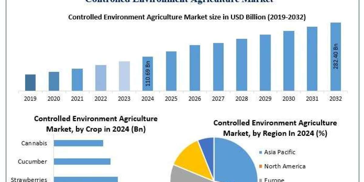 Controlled Environment Agriculture Market Size, Growth Opportunities, and Outlook (2025–2032)